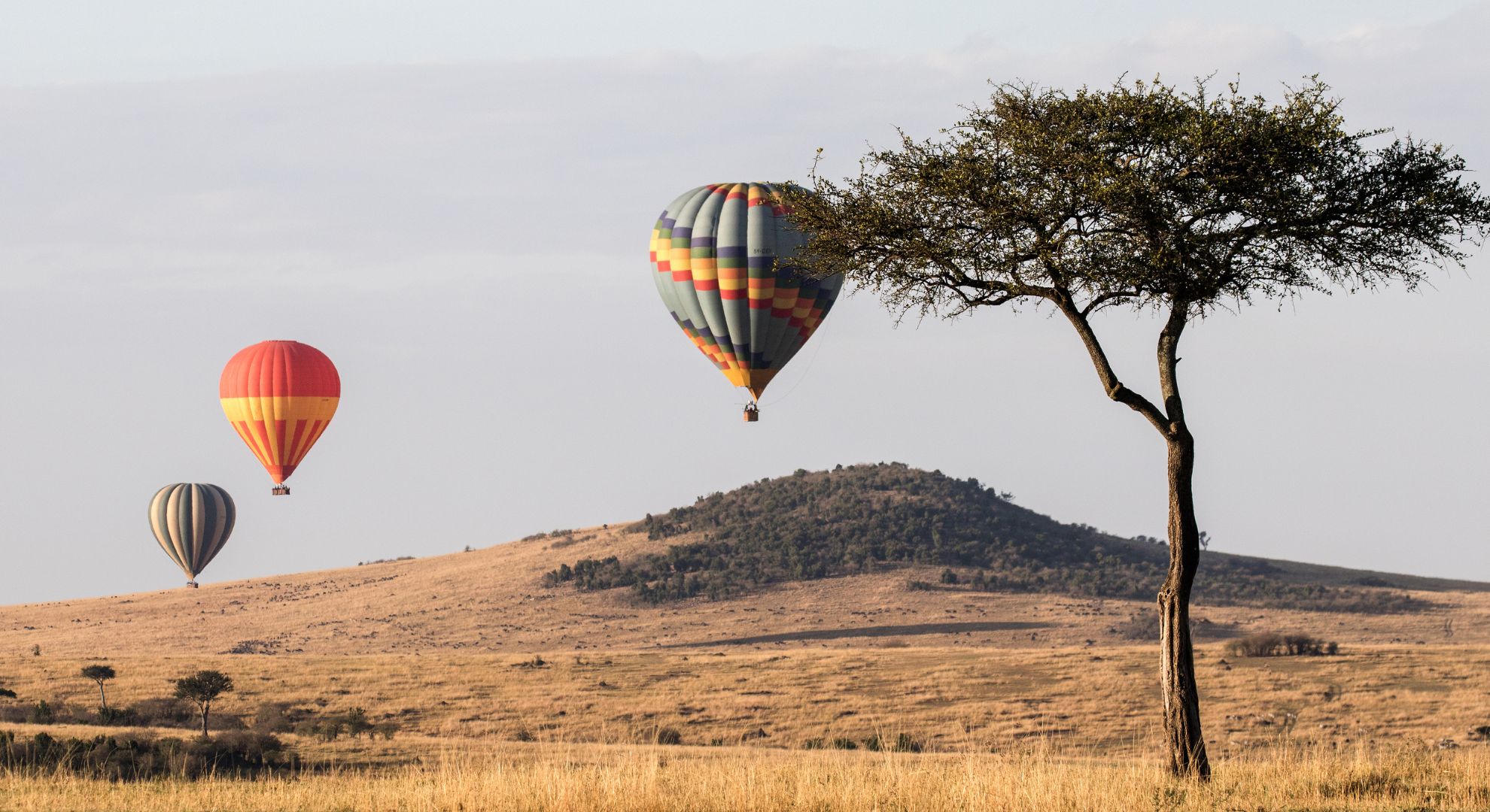 Baloon Safarais