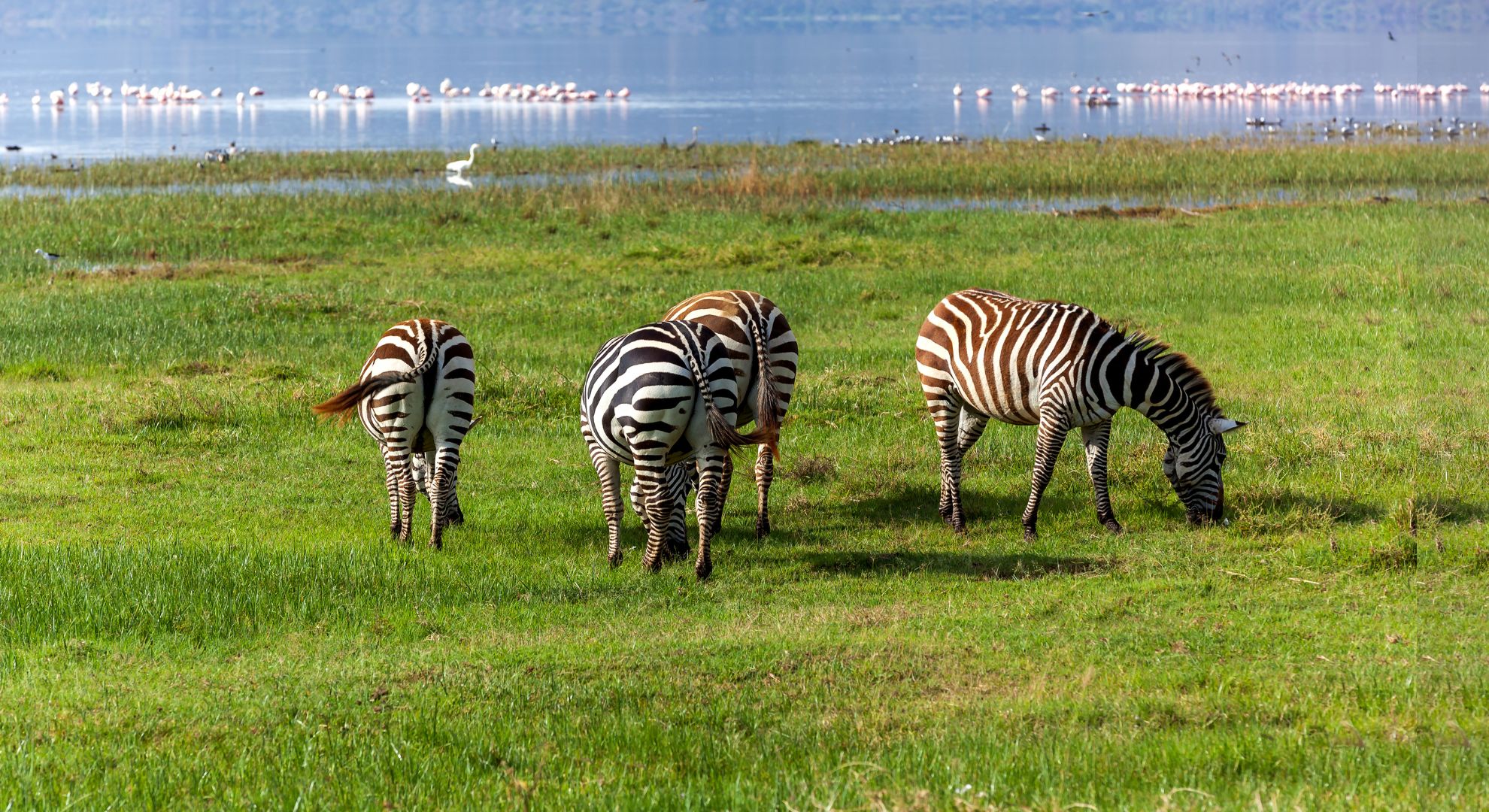 Nakuru National Park